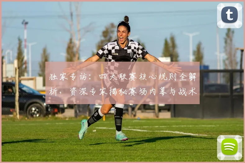 独家专访：四大联赛核心规则全解析，资深专家揭秘赛场内幕与战术博弈