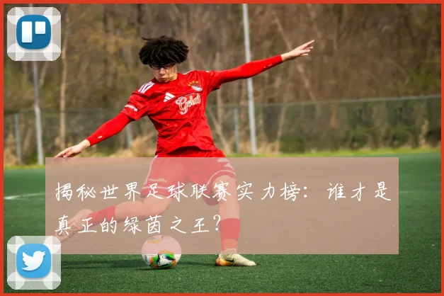 揭秘世界足球联赛实力榜：谁才是真正的绿茵之王？